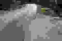 310455534_4951879041579866_2173041974361915082_n