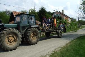 Májusfa állítás 2011